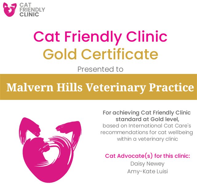 Cat Friendly Clinic Gold certificate presented to Malvern Hills Veterinary Practice