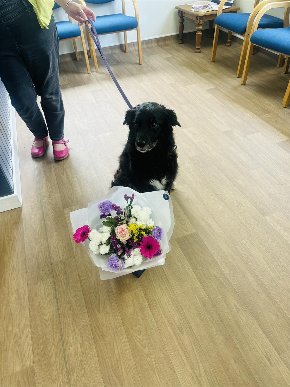 Winnie the collie-cross with a bouquet of flowers