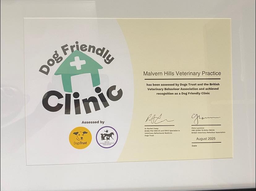 Dog Friendly Clinic accreditation display at the practice
