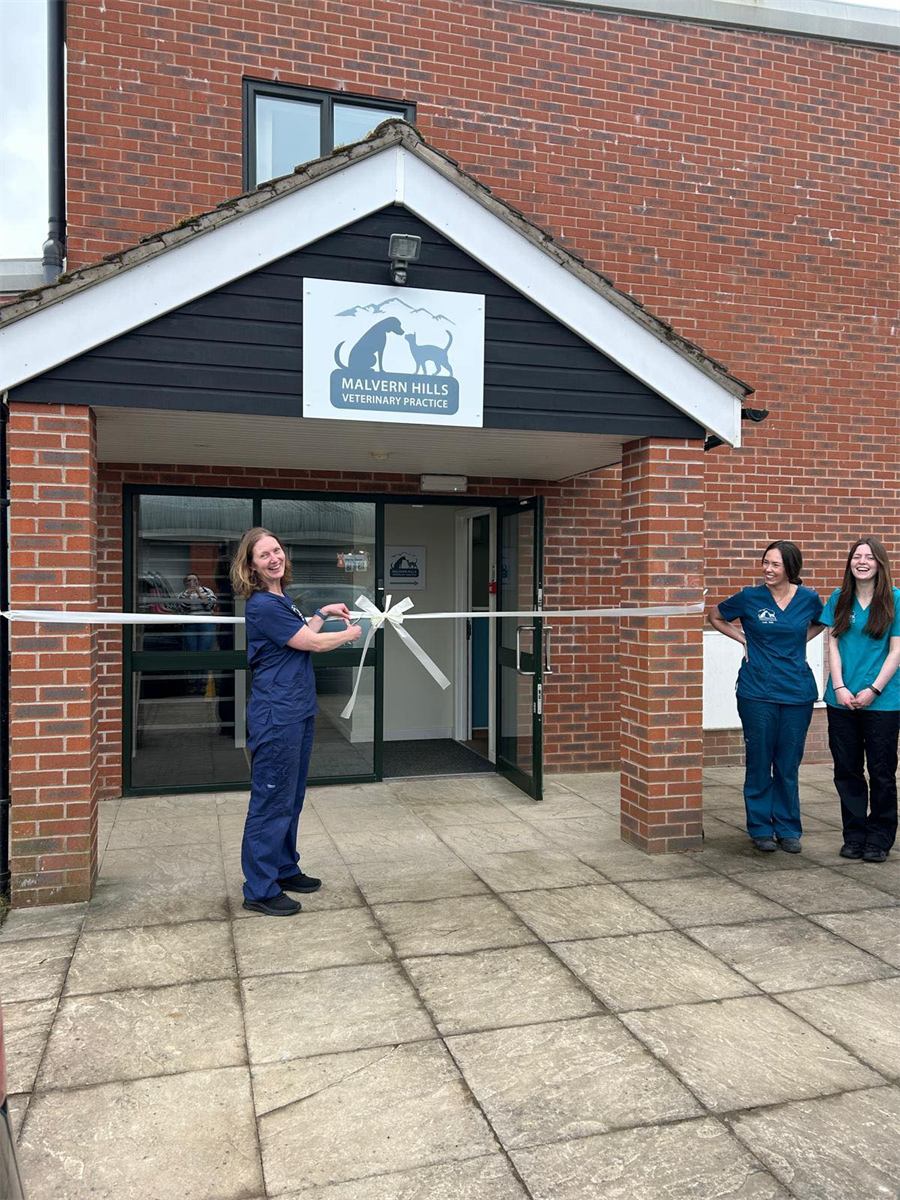 Visitors and their dogs at the practice open day