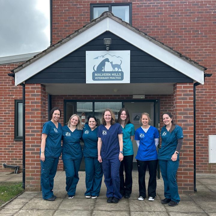 Seven team members in scrubs under the practice entrance