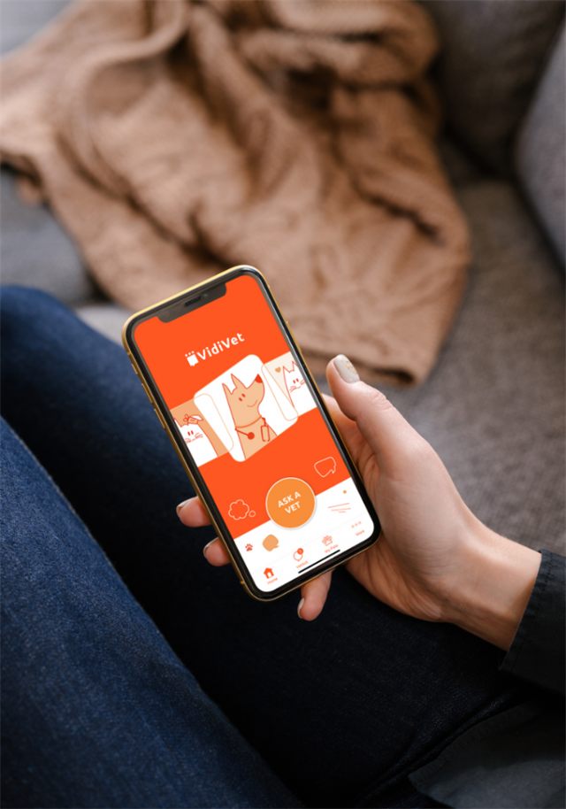 Phone mockup of the VidiVet app showing a vet's video reply